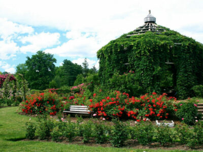elisabeth park-jpeg